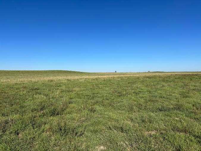  NE-3-14-24-W4  , A2347837, Alberta,