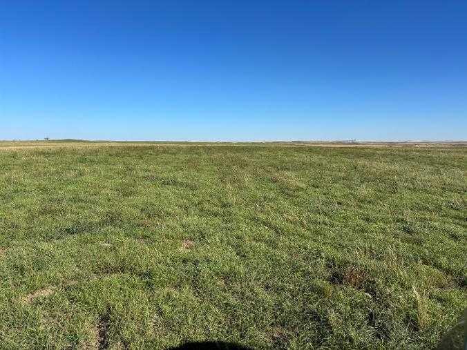 Third View of  NE-3-14-24-W4  , NONE, Rural Vulcan County, Alberta, T0L0N0