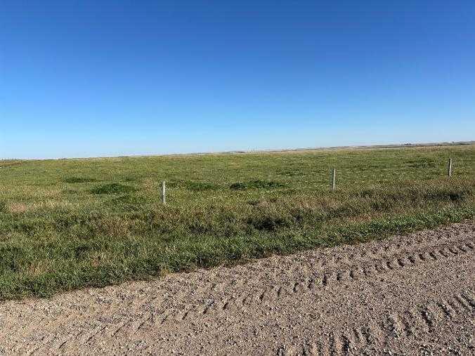 Fourth View of  NE-3-14-24-W4  , NONE, Rural Vulcan County, Alberta, T0L0N0