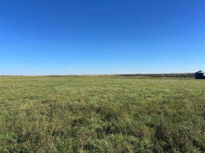 Fifth View of  NW-3-14-24-W4  , NONE, Rural Vulcan County, Alberta, T0L0N0