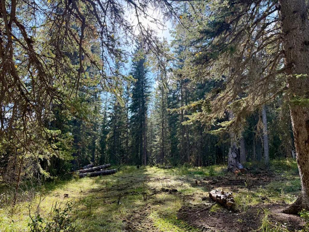 Fourth View of 29436 Range Road 54 A  , NONE, Rural Mountain View County, Alberta, T0M2E0