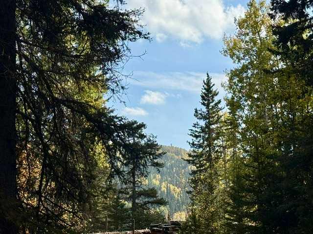 Fifth View of 29436 Range Road 54 A  , NONE, Rural Mountain View County, Alberta, T0M2E0