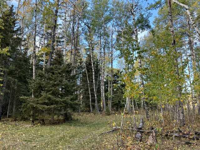 Fourth View of 32310 Range Road 45  , NONE, Rural Mountain View County, Alberta, T0M 1X0