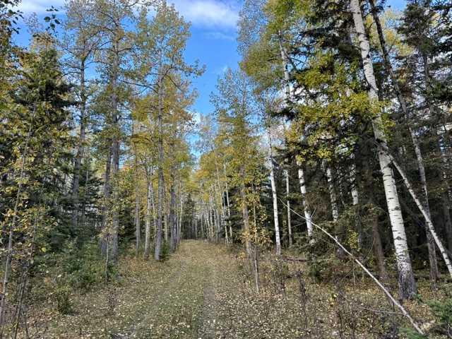 Fifth View of 32310 Range Road 45  , NONE, Rural Mountain View County, Alberta, T0M 1X0