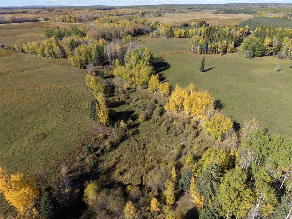 Fourth View of  On Range Road 90/Township Road 503  , NONE, Rural Brazeau County, Alberta, T7A2A3