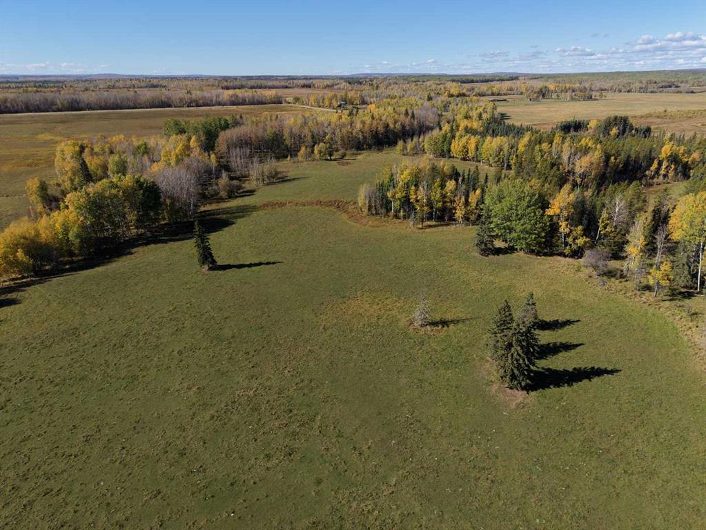 Fifth View of  On Range Road 90/Township Road 503  , NONE, Rural Brazeau County, Alberta, T7A2A3