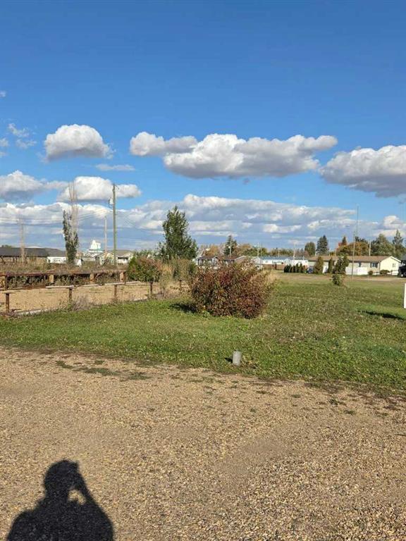 Fifth View of 4 SIFTON Crescent , Lougheed, Lougheed, Alberta, T0B 2V0