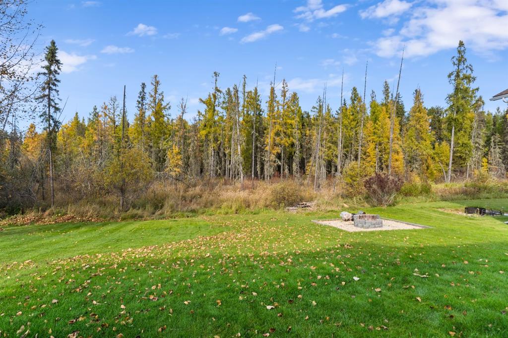 Fifth View of 18 Park Point , NONE, Whitecourt, Alberta, T7S 1W9