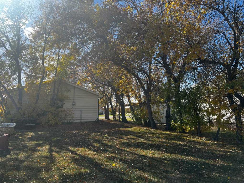 Third View of 236 2 Avenue W, NONE, Hussar, Alberta, T0J1S0
