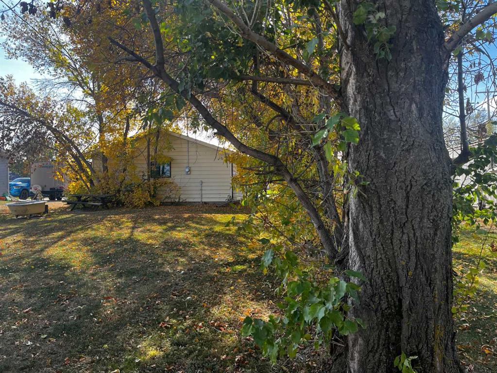 Fourth View of 236 2 Avenue W, NONE, Hussar, Alberta, T0J1S0