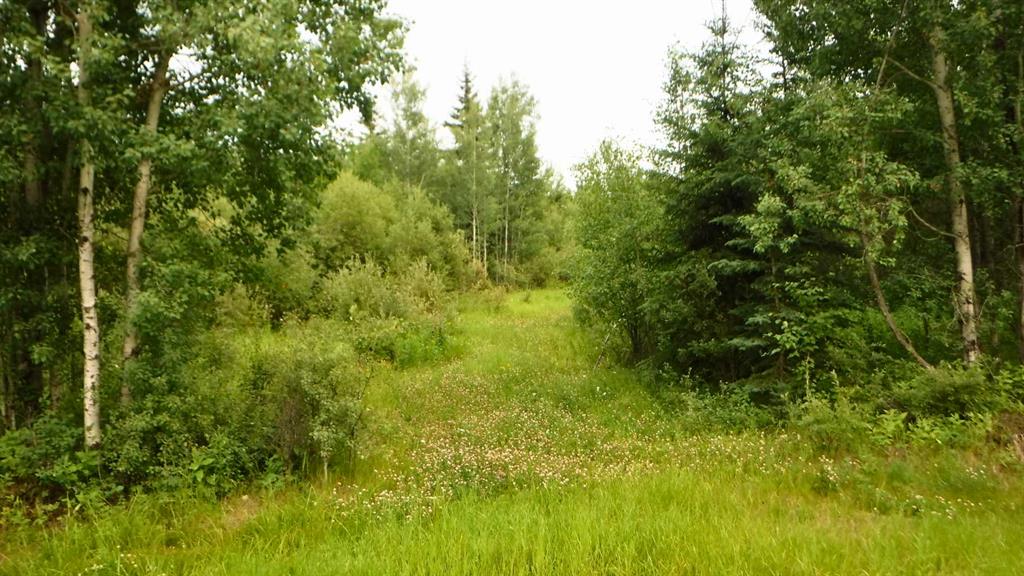 Third View of  Range Road 231  , NONE, Rural Greenview No. 16, M.D. of, Alberta, T0H 3N0
