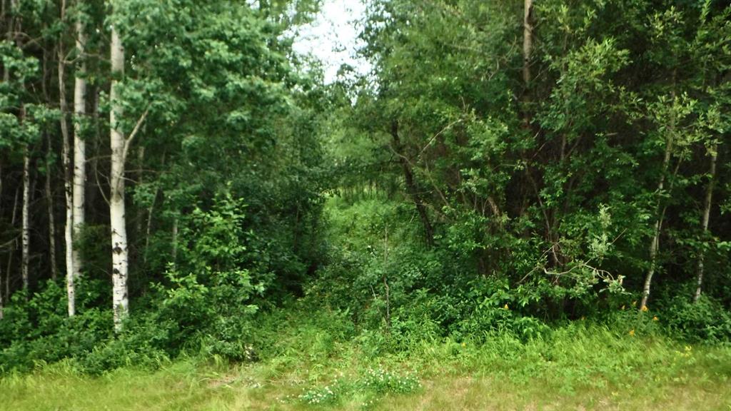Fourth View of  Range Road 231  , NONE, Rural Greenview No. 16, M.D. of, Alberta, T0H 3N0
