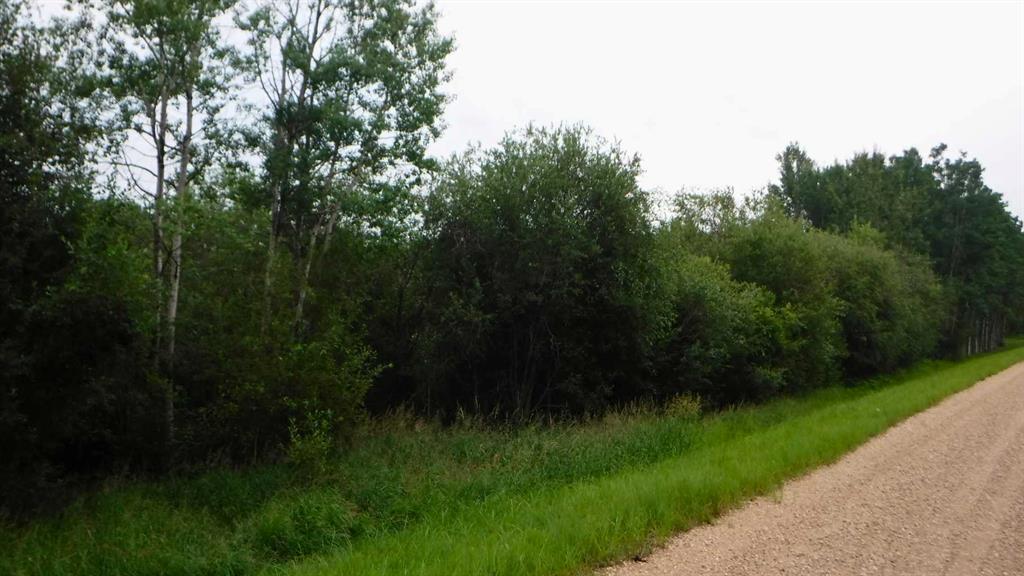 Fifth View of  Range Road 231  , NONE, Rural Greenview No. 16, M.D. of, Alberta, T0H 3N0