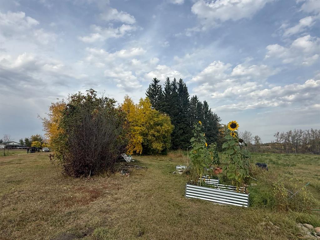 Fifth View of 31040A TWP RD 524  , NONE, Rural Vermilion River, County of, Alberta, T0B 2X0