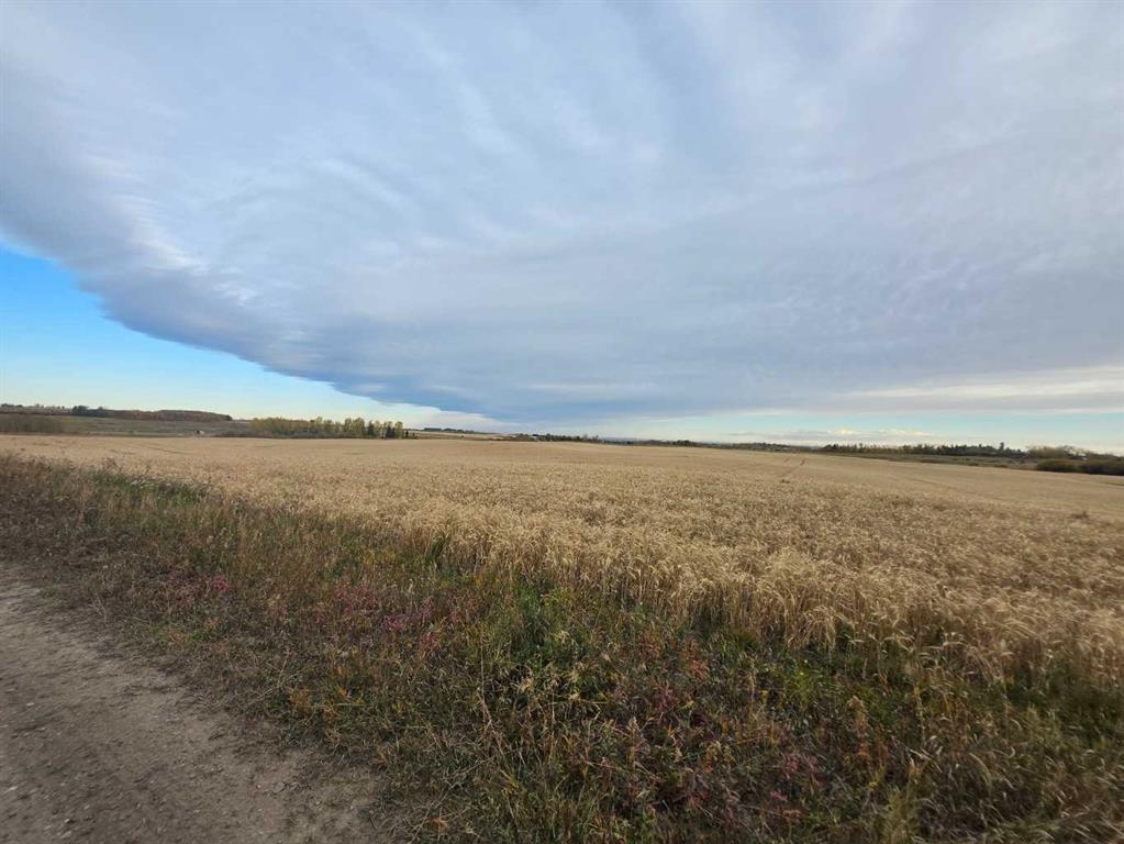Fourth View of 12-12-21-29w4,  64 Street E, NONE, Rural Foothills County, Alberta, T0L 0X0