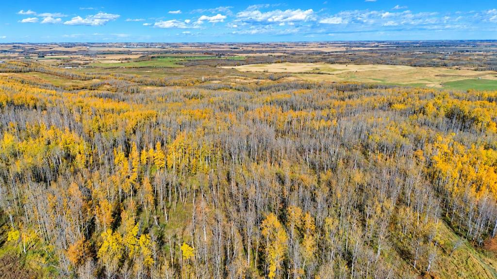 Fourth View of ON Range Road 260  , NONE, Rural Red Deer County, Alberta, T4E 1E9