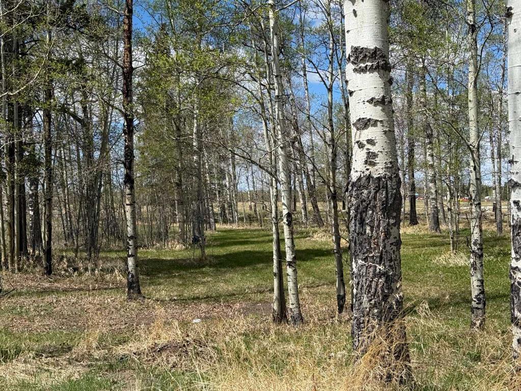 Fifth View of 344019 22 Highway , NONE, Rural Clearwater County, Alberta, T0M1C0