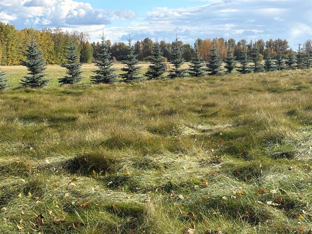 Fourth View of 10413 Township Rd 73 Road , NONE, Kinuso, Alberta, T0G 2K0