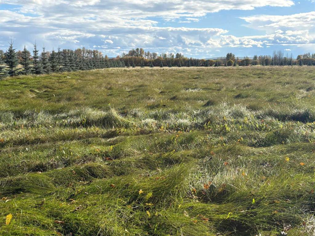 Fifth View of 10413 Township Rd 73 Road , NONE, Kinuso, Alberta, T0G 2K0