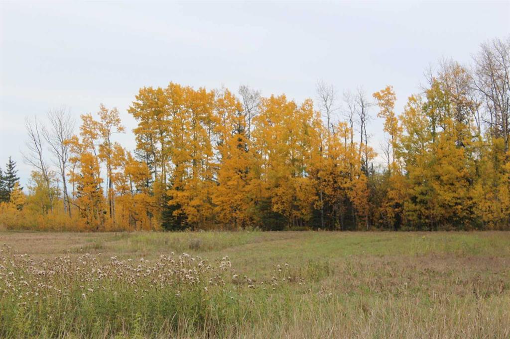 Fourth View of 690 Hwy 234 Range , NONE, Rural Northern Lights, County of, Alberta, t0H 1A0