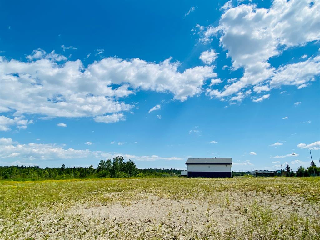 Fifth View of 4410 53 Avenue  , NONE, Rocky Mountain House, Alberta, T4T 1V4