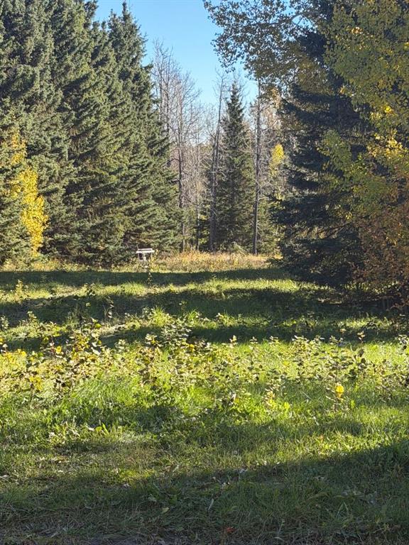 Second View of 6015 Township Road 334  , NONE, Rural Mountain View County, Alberta, T0M1X0