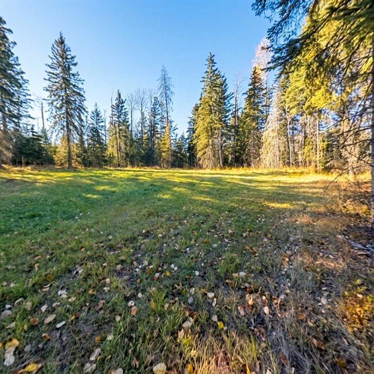 Fifth View of 131 Meadow Ponds Drive , Diamond Willow Estates, Rural Clearwater County, Alberta, T4T 2A2