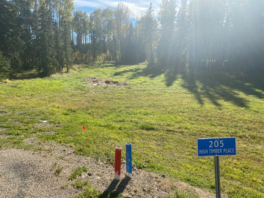 205 High Timber Place , A2354182, Alberta,