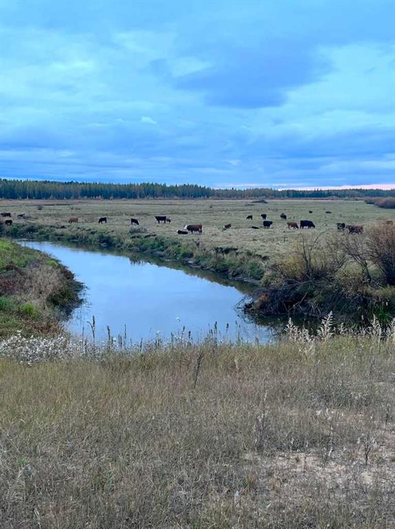 NE-12-69-14-W4 Old Conklin Road  , A2355778, Alberta,