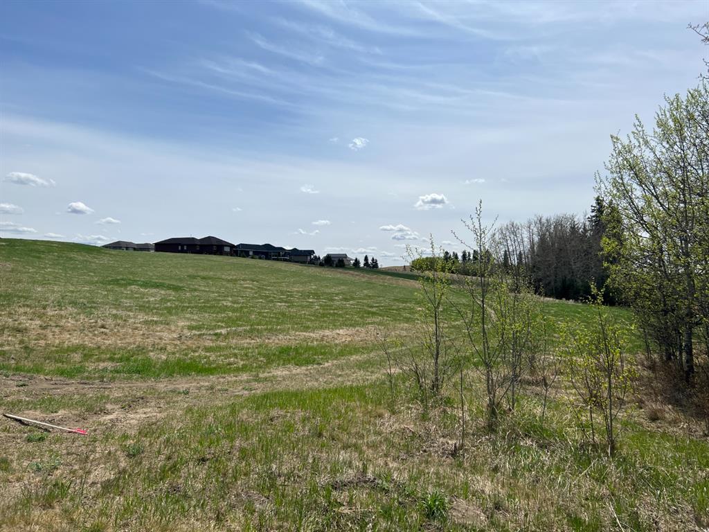 143 Wolf Run Drive , A2192507, Alberta,