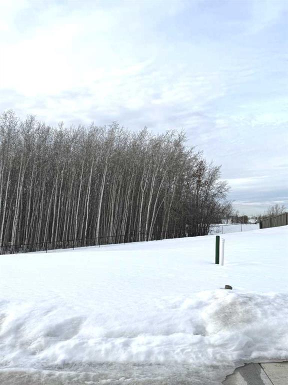 8206 121 Street , A2199910, Alberta,