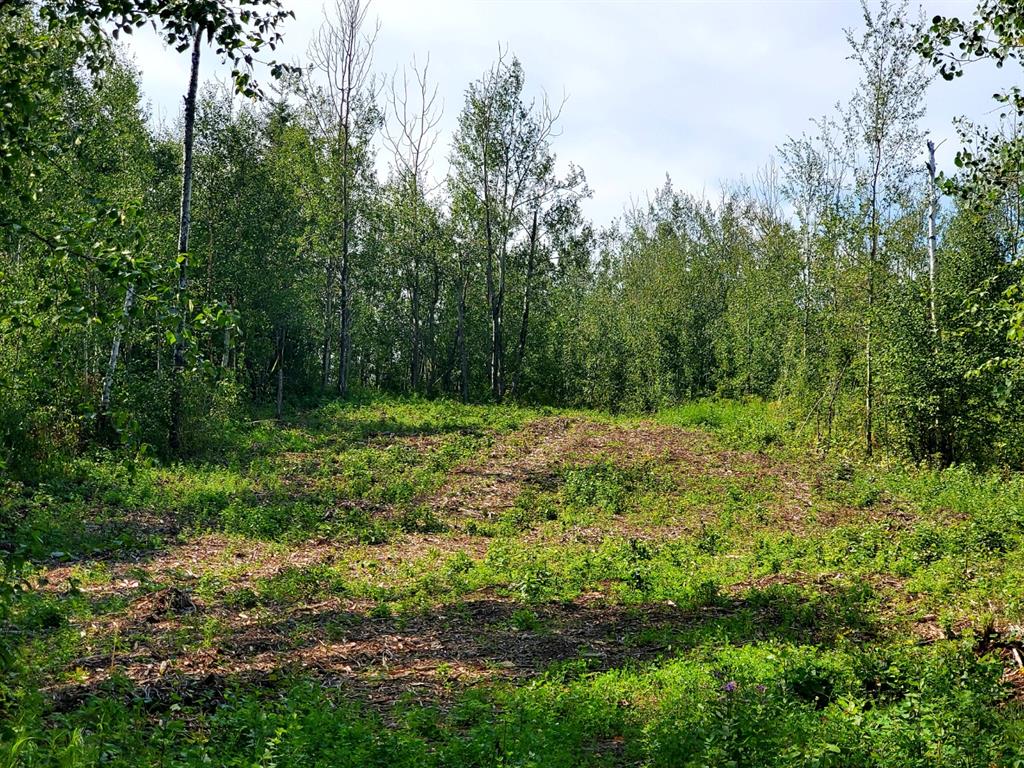 130, 67458 McGrane road  , A2205027, Alberta,
