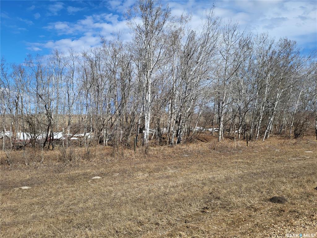 Fourth View of Radisson 158 acres Pastureland, Great Bend Rm No. 405, Saskatchewan, S0K 3L0