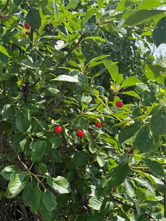 Cherry Orchard Hwy 49 Frontage, SK012921, Saskatchewan,