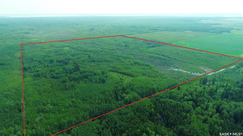 Recreational land N-E of White Fox, SK013366, Saskatchewan,