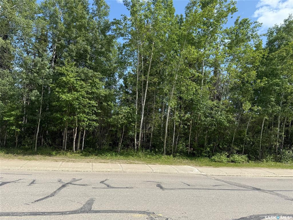 1307 Studer Street, SK013458, Saskatchewan,