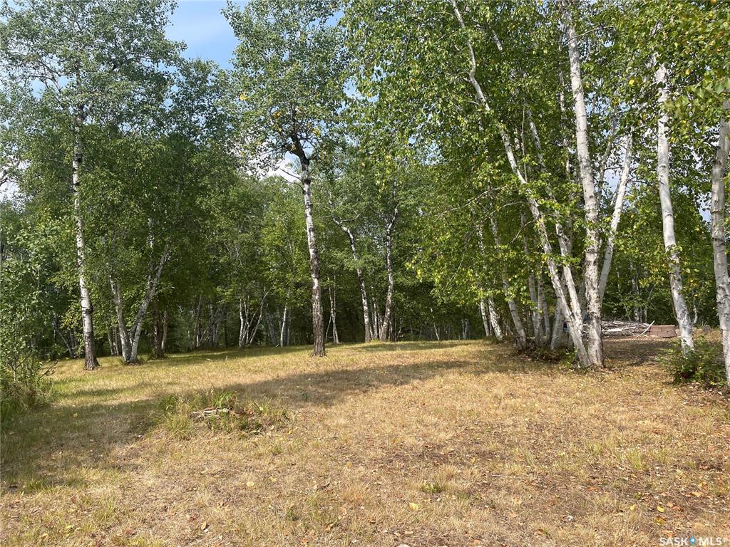 Andrews WAY, SUNSET COVE, SK013819, Saskatchewan,