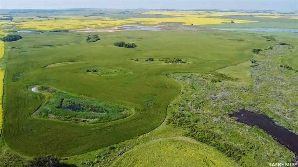 Third View of RM of Buffalo Farmland - 159 Acres (Ulsifer), Buffalo Rm No. 409, Saskatchewan, S0K 4W0