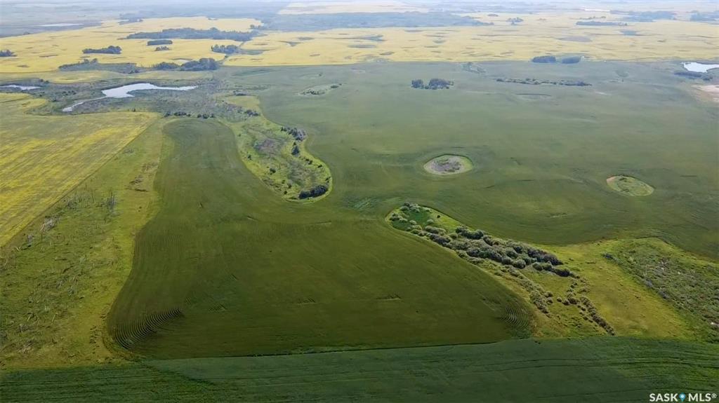 Fifth View of RM of Buffalo Farmland - 159 Acres (Ulsifer), Buffalo Rm No. 409, Saskatchewan, S0K 4W0