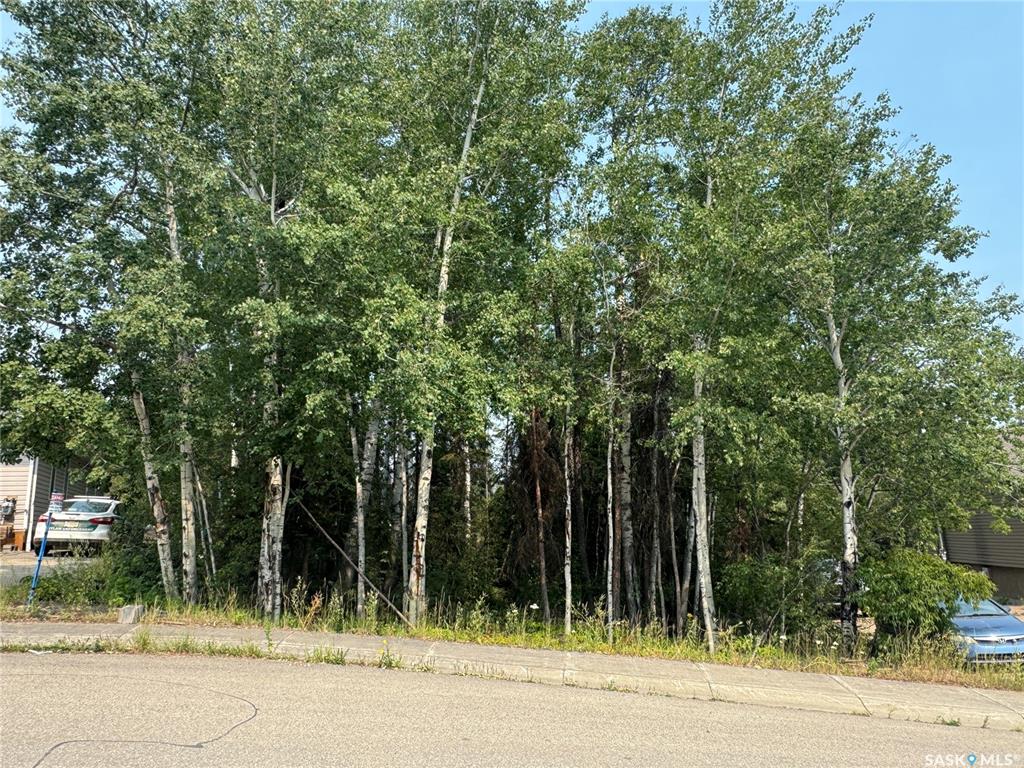 988 Thompson Crescent, SK014328, Saskatchewan,