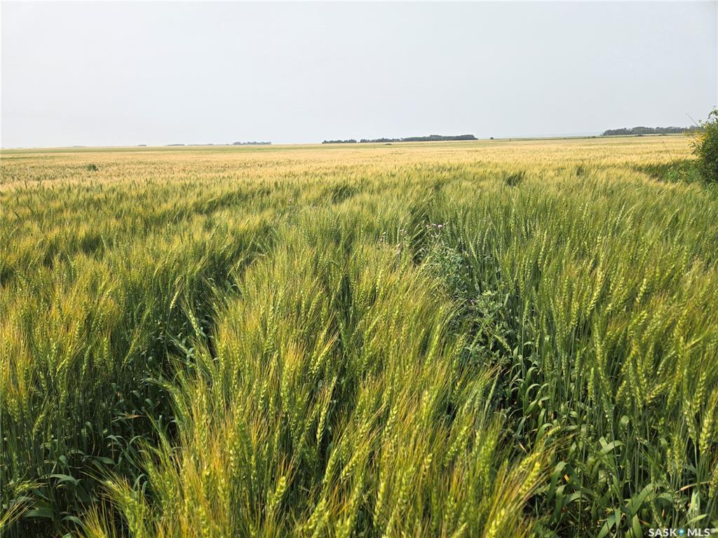 Willems land, SK014346, Saskatchewan,