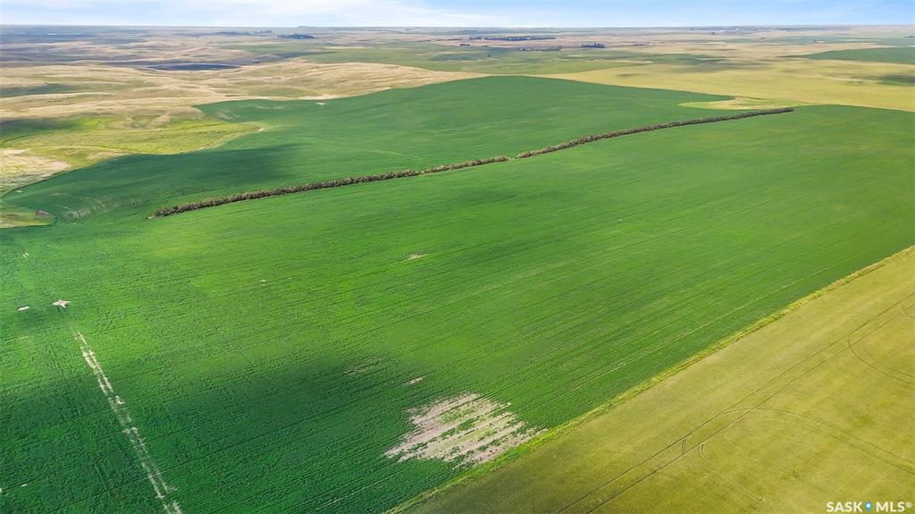 5 Quarters Grainland Near Pangman, SK (Webb), SK014692, Saskatchewan,