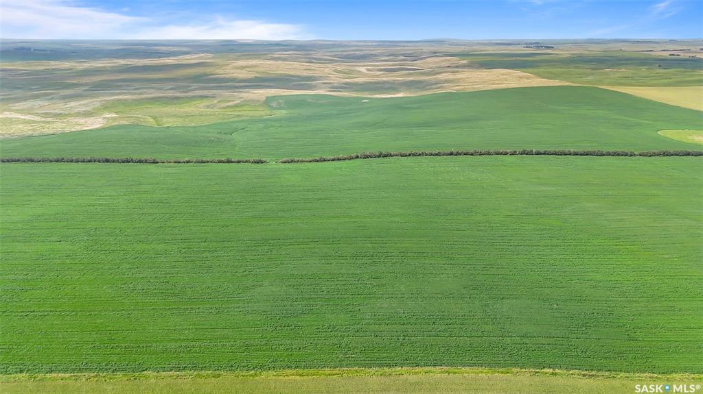 Fourth View of 5 Quarters Grainland Near Pangman, SK (Webb), Norton Rm No. 69, Saskatchewan, S0C 2C0