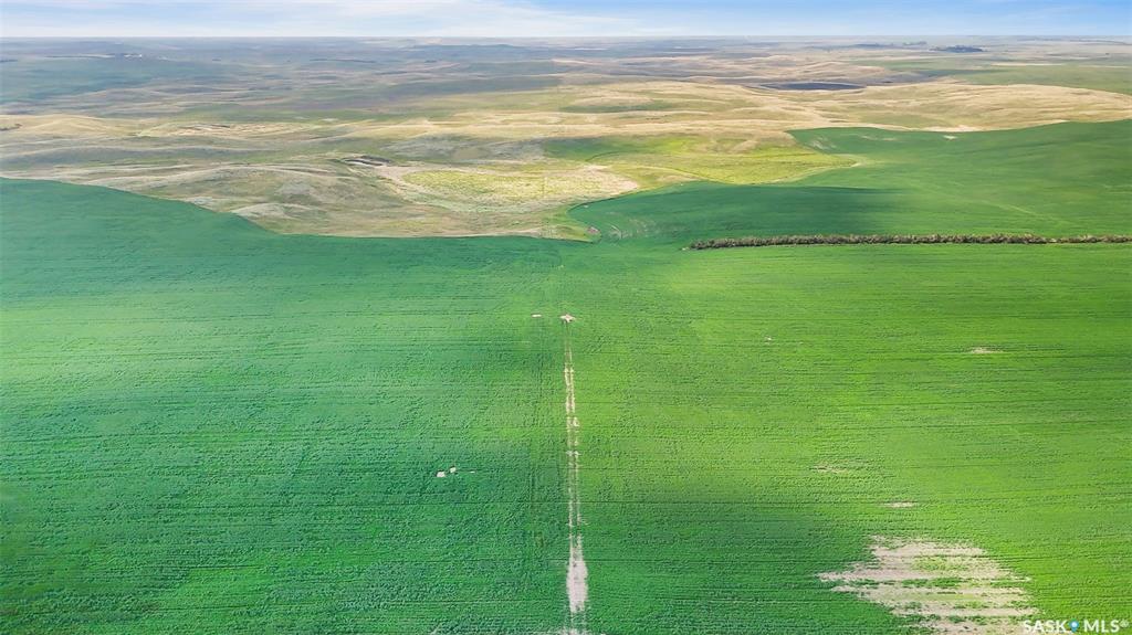 Fifth View of 5 Quarters Grainland Near Pangman, SK (Webb), Norton Rm No. 69, Saskatchewan, S0C 2C0