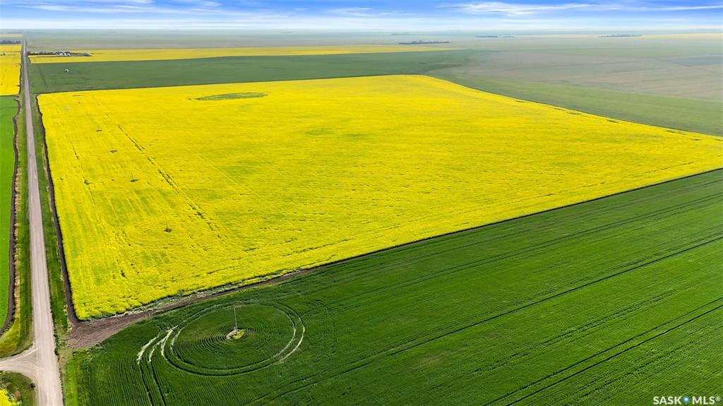 Regina Heavy Clay Quarter - Gray, SK, SK014836, Saskatchewan,