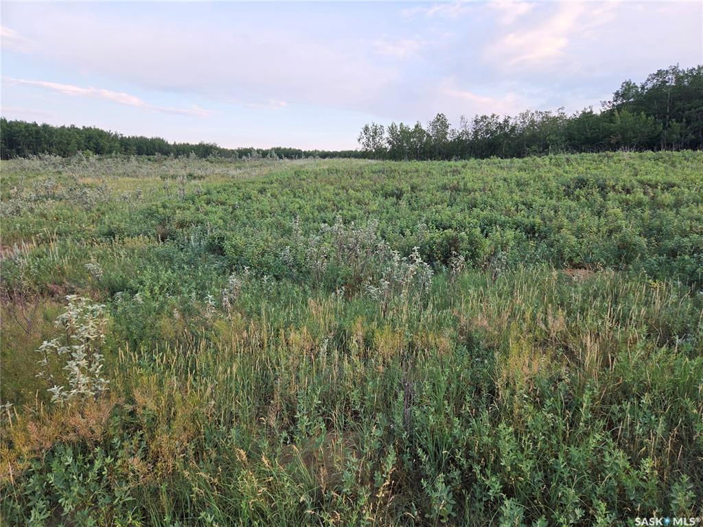 Fifth View of Marln Road Ranch, Parkdale Rm No. 498, Saskatchewan, S0M 0Y0