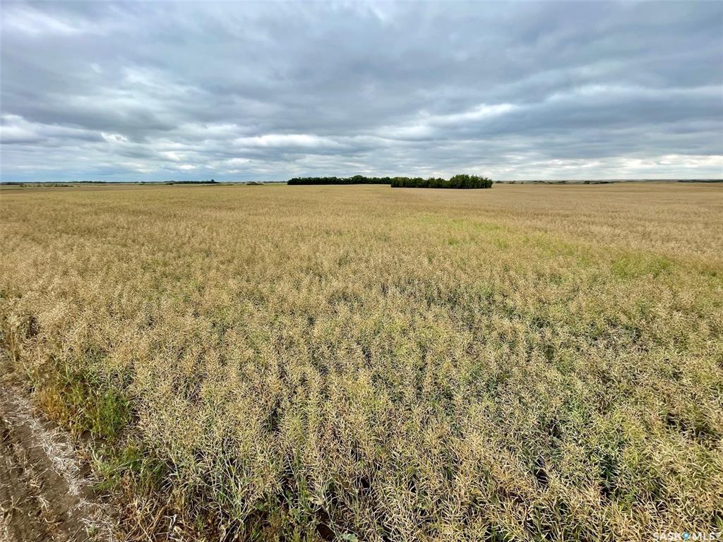 RM of Perdue Farmland - 126 Acres (Konotopetz), SK015544, Saskatchewan,