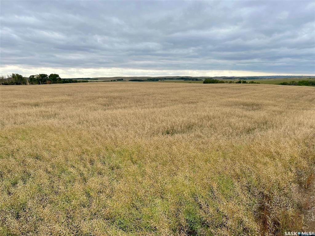 Second View of RM of Perdue Farmland - 126 Acres (Konotopetz), Perdue Rm No. 346, Saskatchewan, S0K 3C0