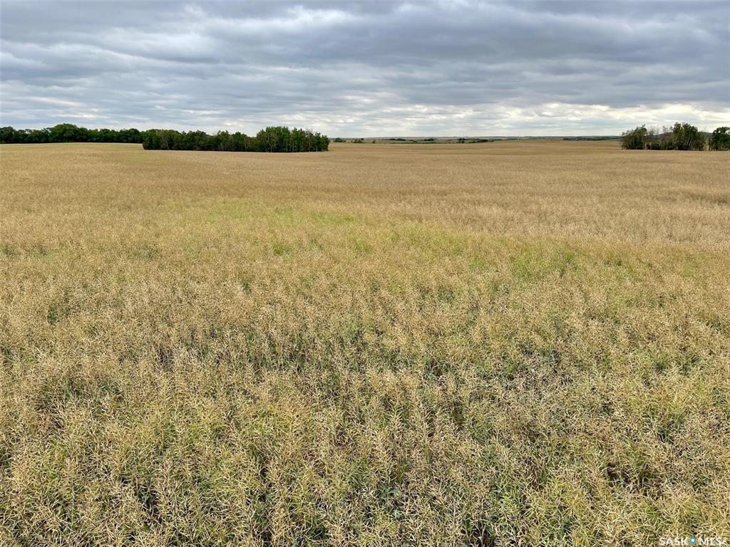 Third View of RM of Perdue Farmland - 126 Acres (Konotopetz), Perdue Rm No. 346, Saskatchewan, S0K 3C0