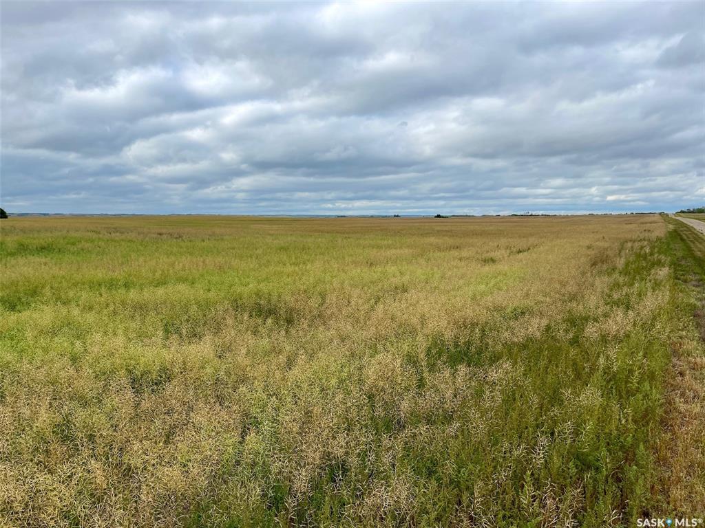 Fourth View of RM of Perdue Farmland - 126 Acres (Konotopetz), Perdue Rm No. 346, Saskatchewan, S0K 3C0